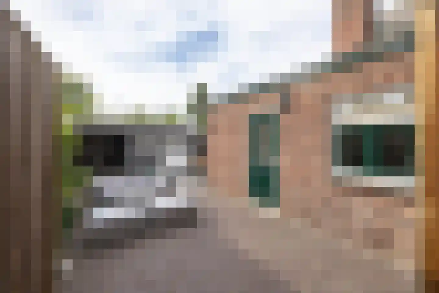 Hazelaarweg 25 Hengelo thumbnail 28