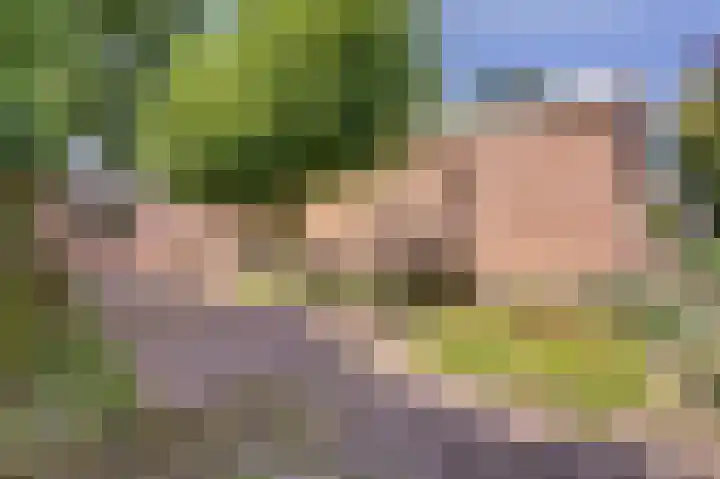 Hazelaarweg 4 Nunspeet thumbnail 20