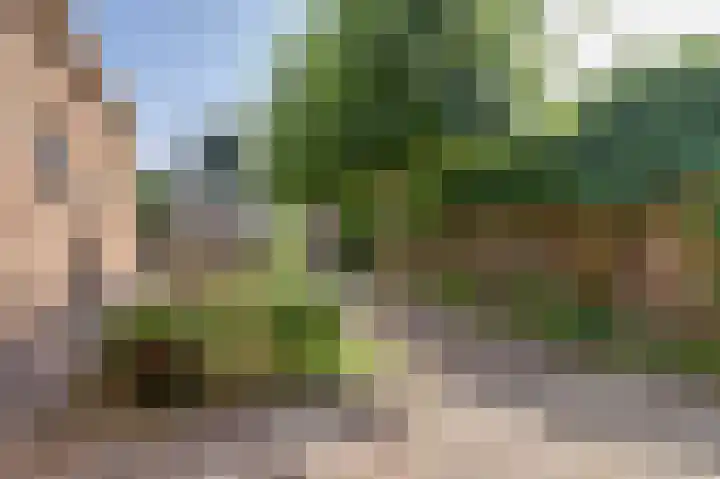 Hazelaarweg 4 Nunspeet thumbnail 21