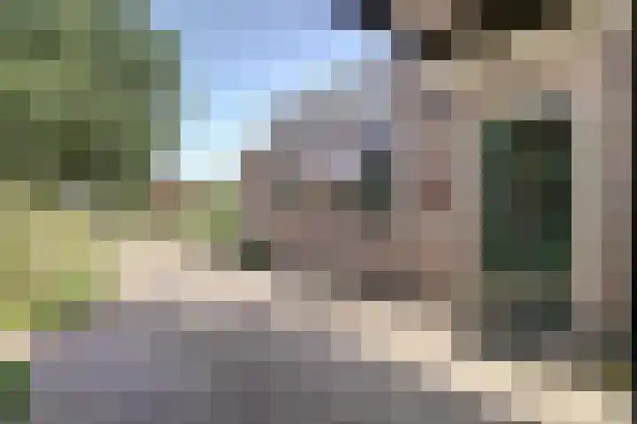 Hazelaarweg 4 Nunspeet thumbnail 22