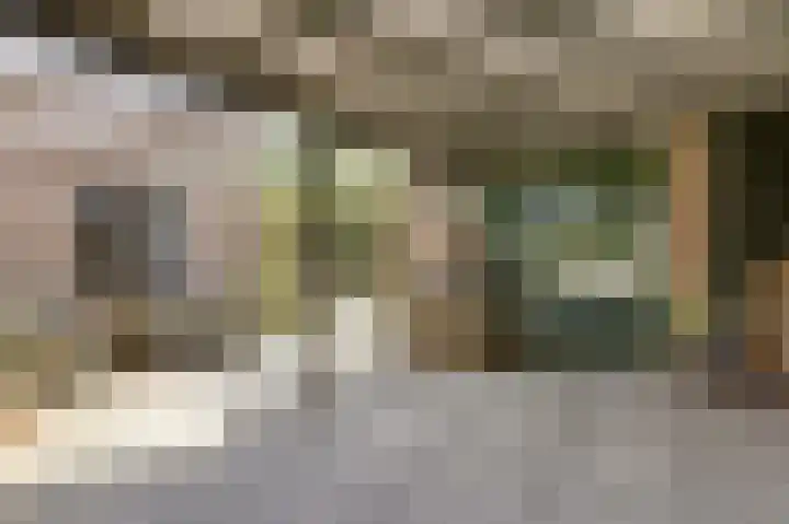 Hazelaarweg 4 Nunspeet thumbnail 23