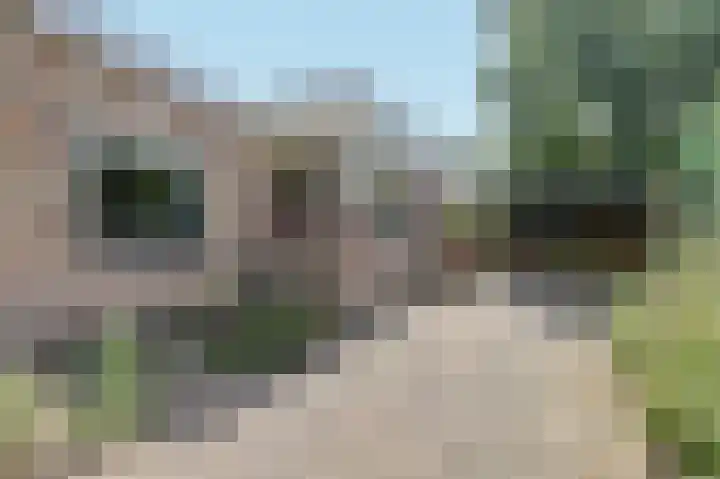 Hazelaarweg 4 Nunspeet thumbnail 24