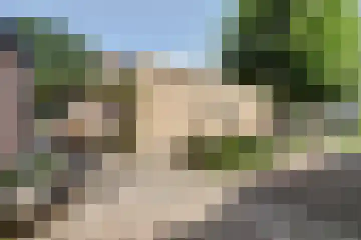 Hazelaarweg 4 Nunspeet thumbnail 28