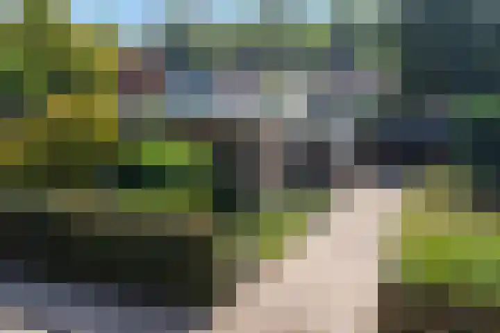 Hazelaarweg 4 Nunspeet thumbnail 29