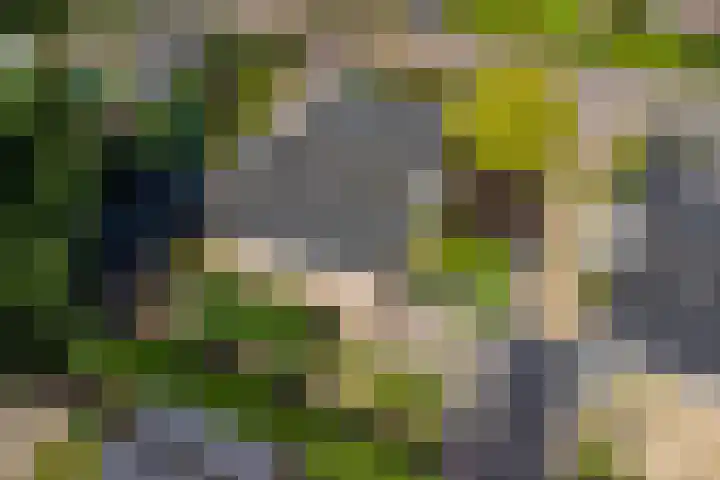 Hazelaarweg 4 Nunspeet thumbnail 31