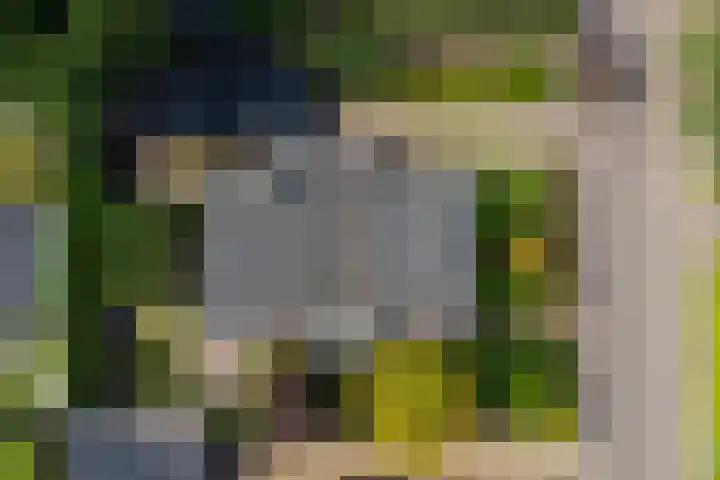 Hazelaarweg 4 Nunspeet thumbnail 32