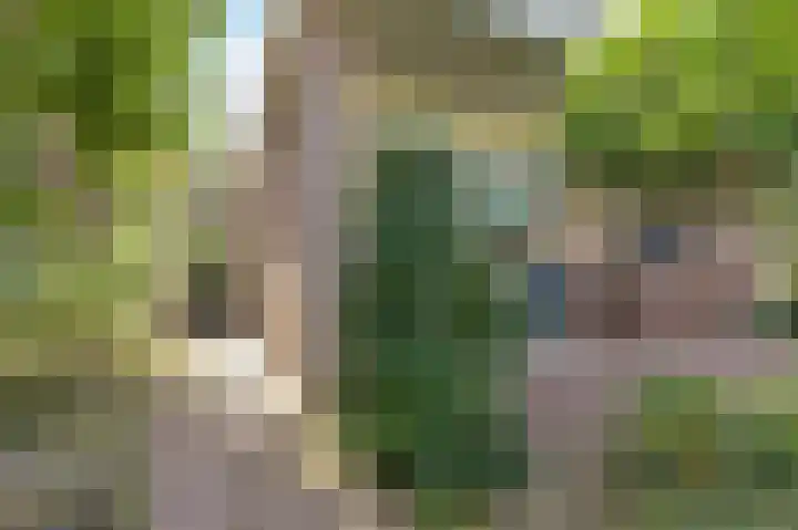 Hazelaarweg 4 Nunspeet thumbnail 4