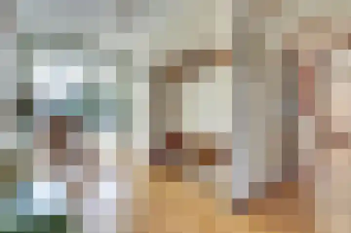 Hazelaarweg 4 Nunspeet thumbnail 5