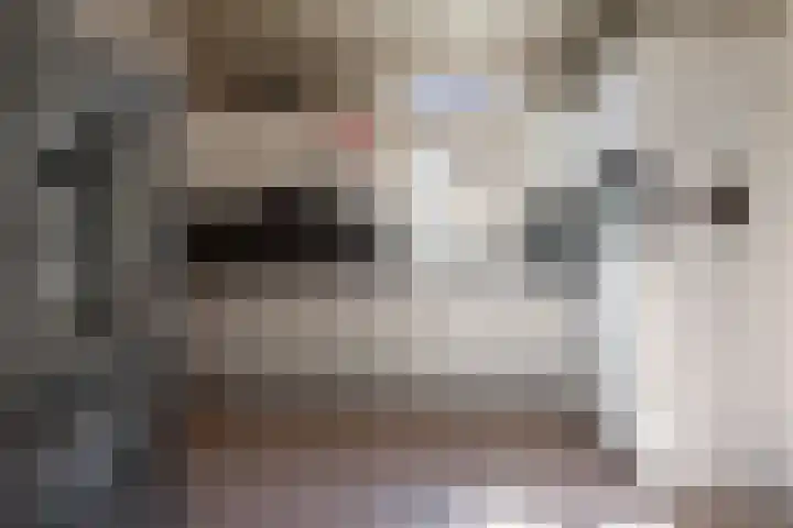 Hazelaarweg 6 Hengelo thumbnail 10