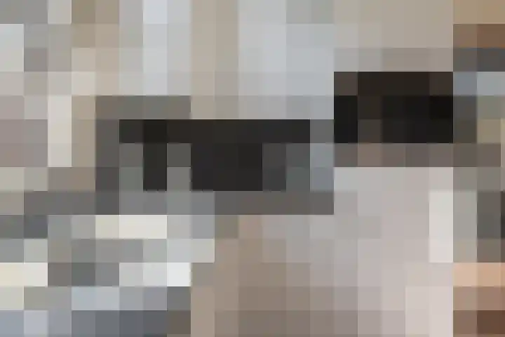 Hazelaarweg 6 Hengelo thumbnail 14