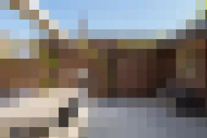 Hazelaarweg 6 Hengelo thumbnail 30