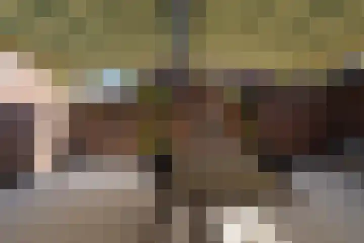 Hazelaarweg 6 Hengelo thumbnail 34