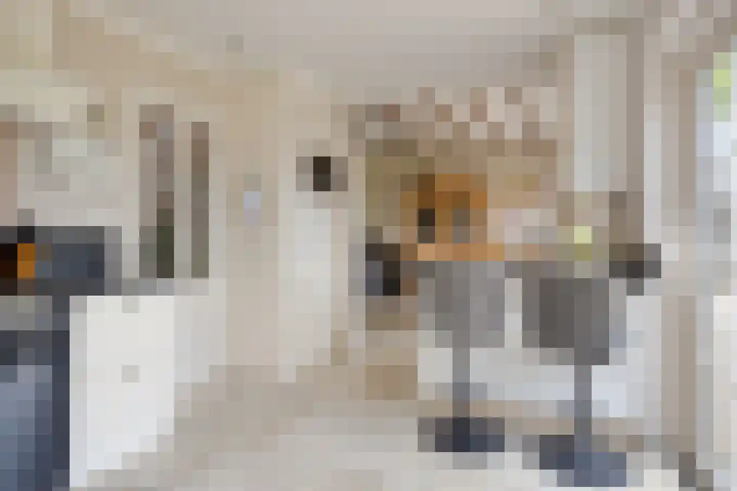Hazelarenstraat 52 Koewacht thumbnail 13