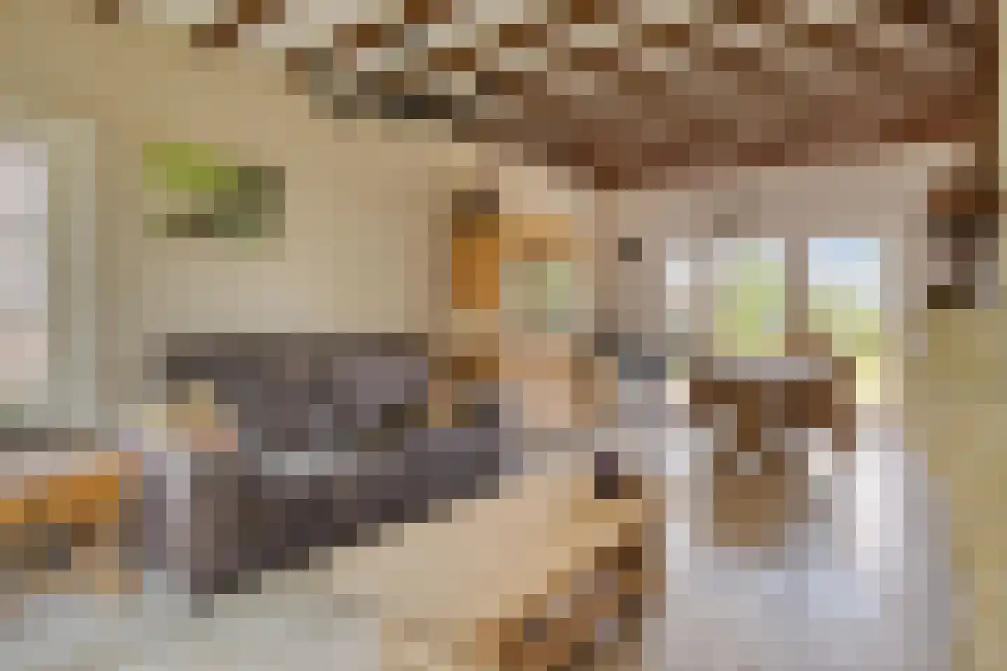 Hazelarenstraat 52 Koewacht thumbnail 7