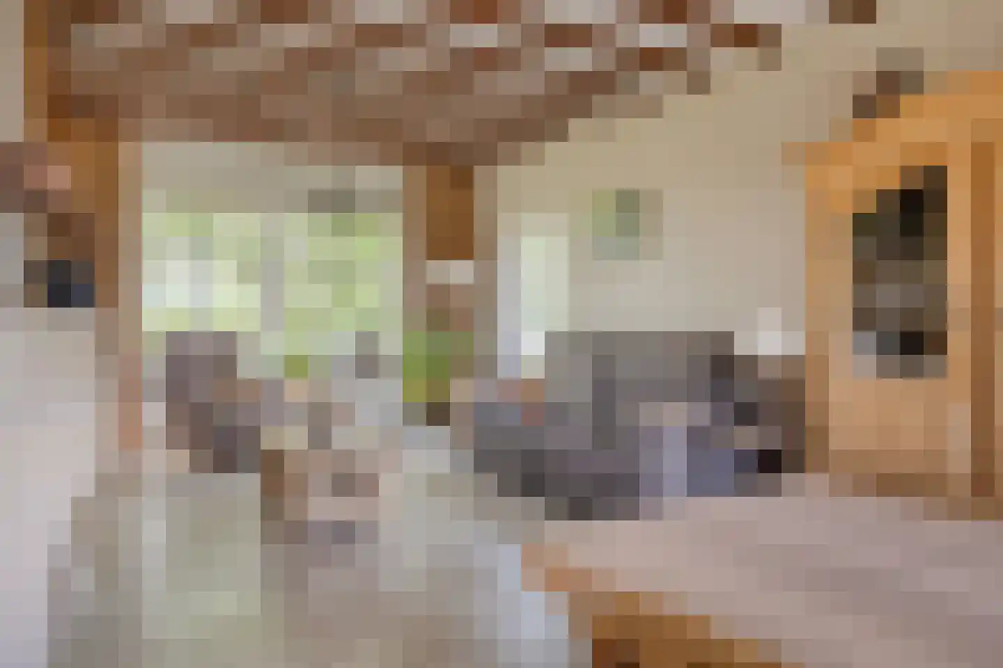 Hazelarenstraat 52 Koewacht thumbnail 9