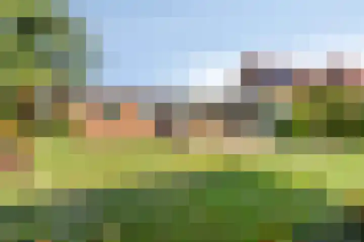 Hazelarenstraat 7 Koewacht thumbnail 11