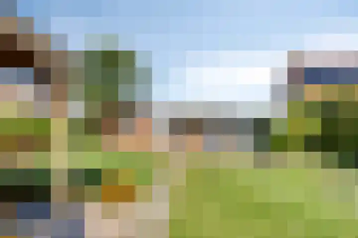 Hazelarenstraat 7 Koewacht thumbnail 4
