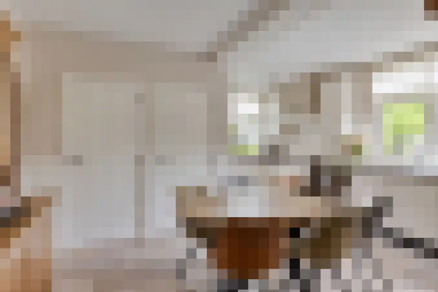 Hazelberg 1 Veghel thumbnail 10