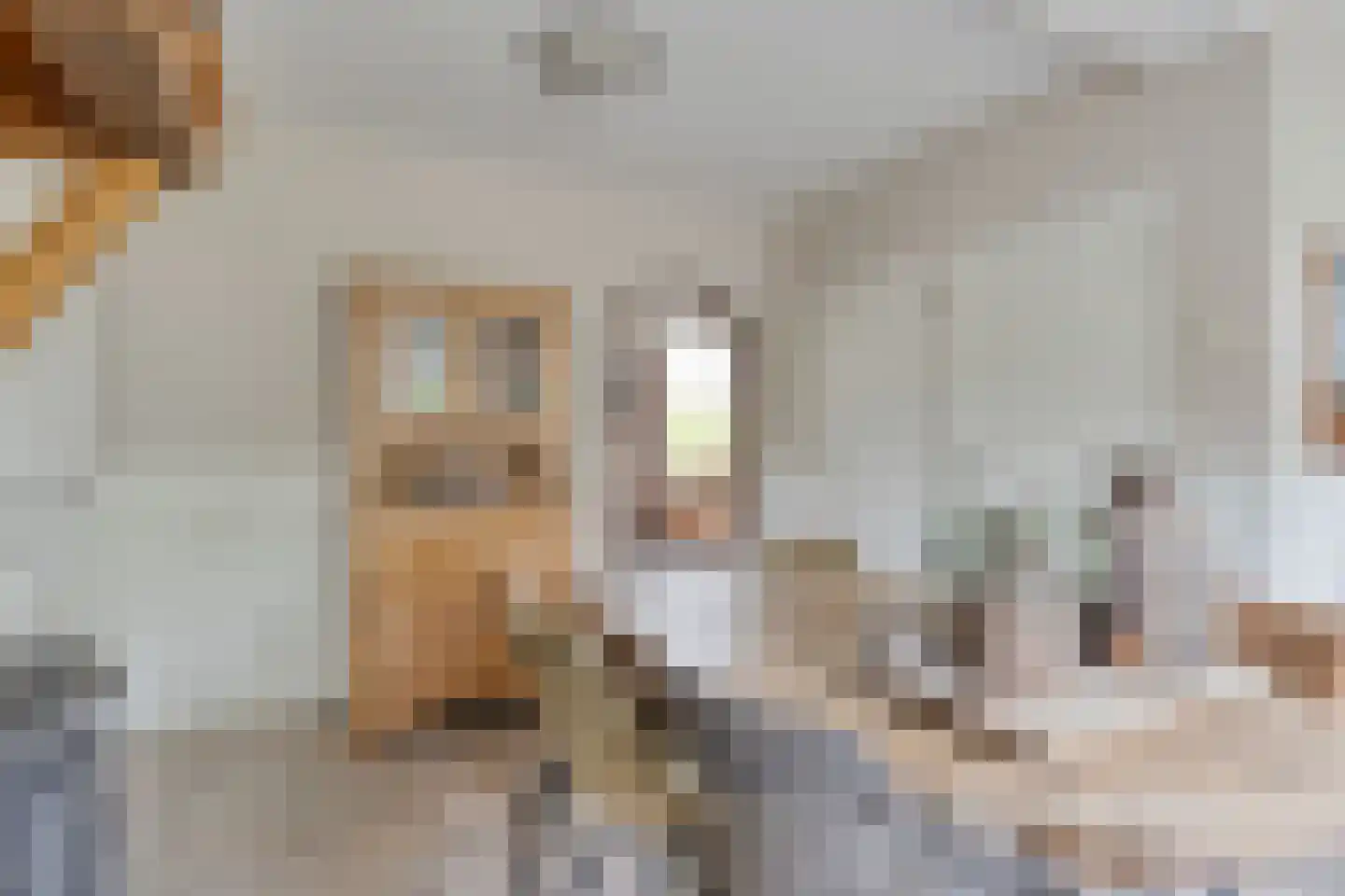 Hazelberg 1 Veghel thumbnail 11
