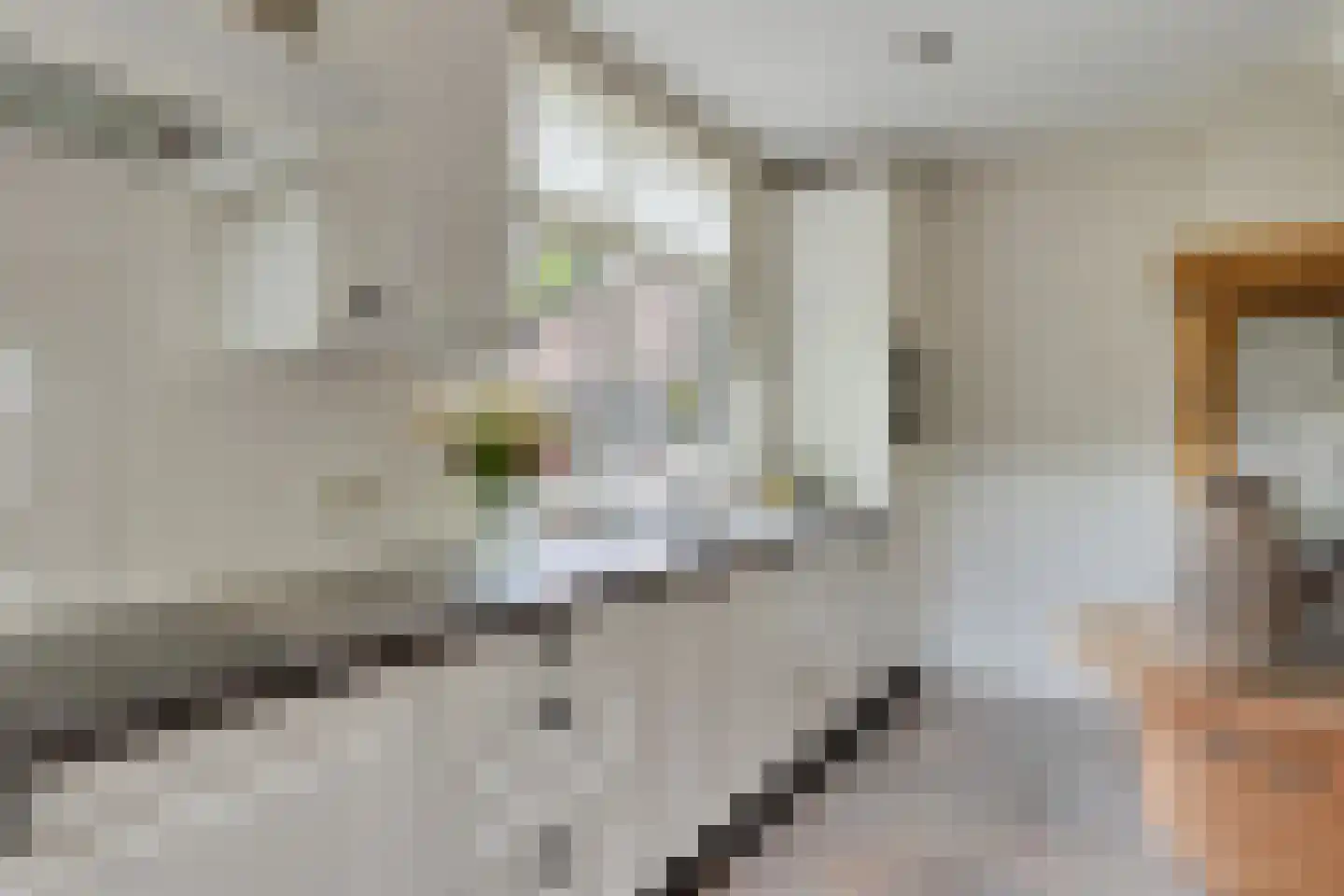 Hazelberg 1 Veghel thumbnail 13