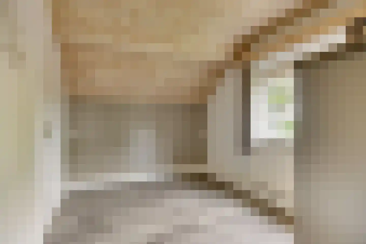 Hazelberg 1 Veghel thumbnail 27