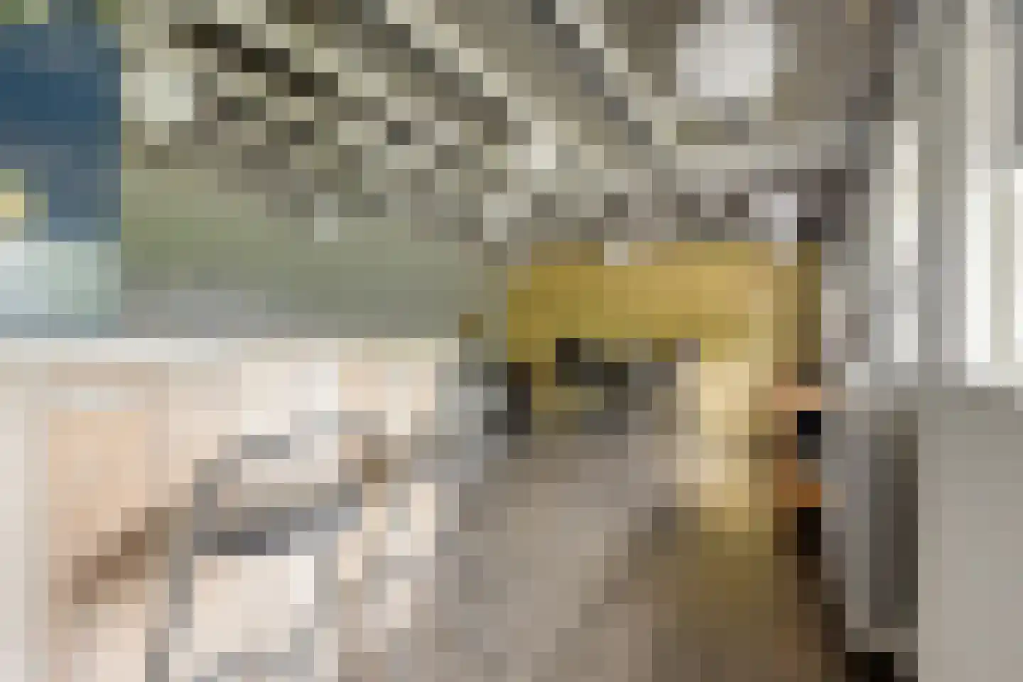 Hazelberg 1 Veghel thumbnail 34