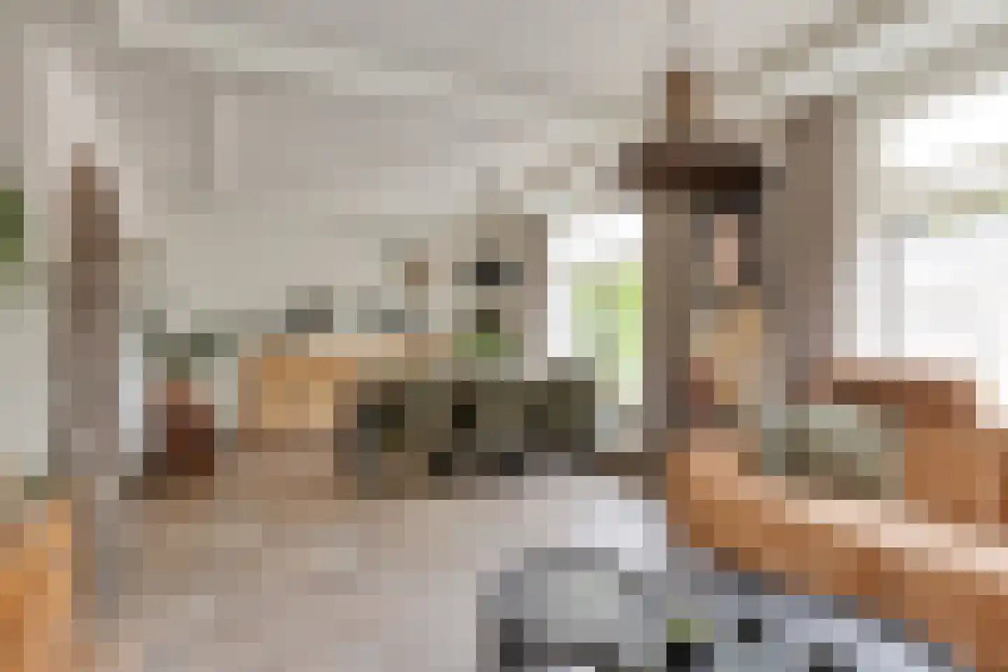 Hazelberg 1 Veghel thumbnail 5