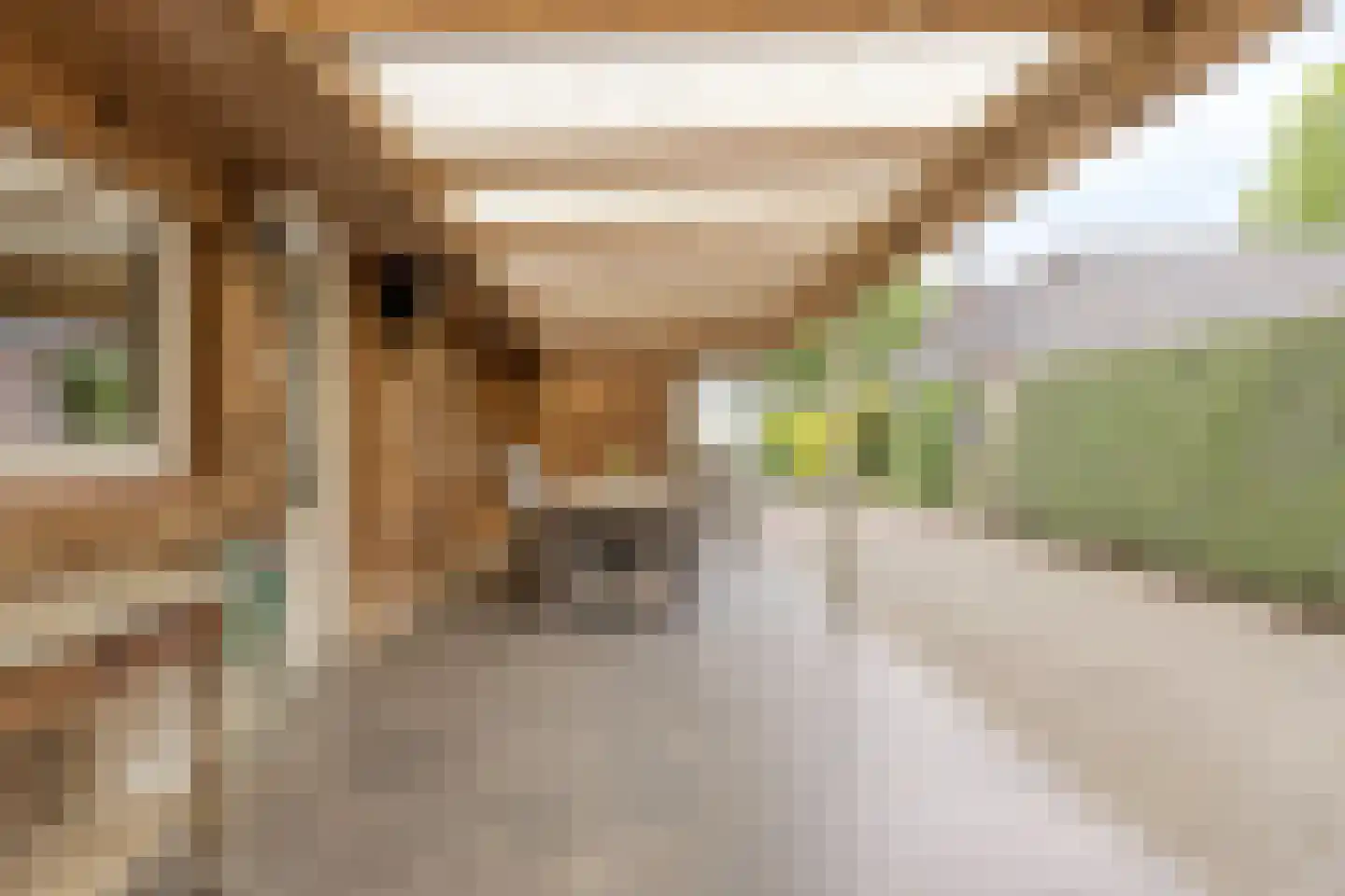 Hazelberg 1 Veghel thumbnail 54