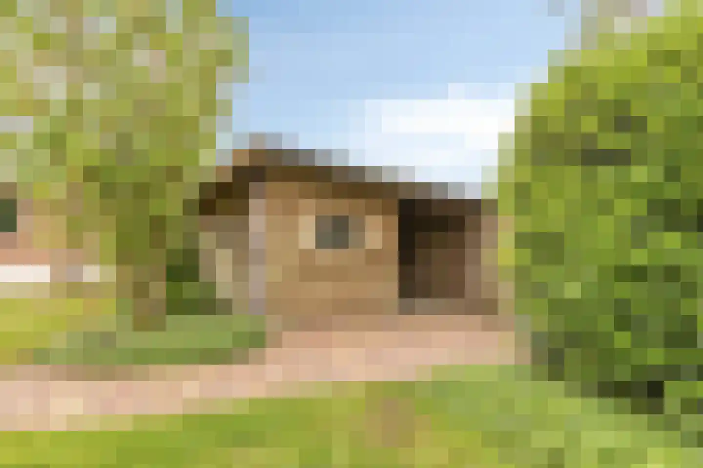 Hazelberg 1 Veghel thumbnail 57