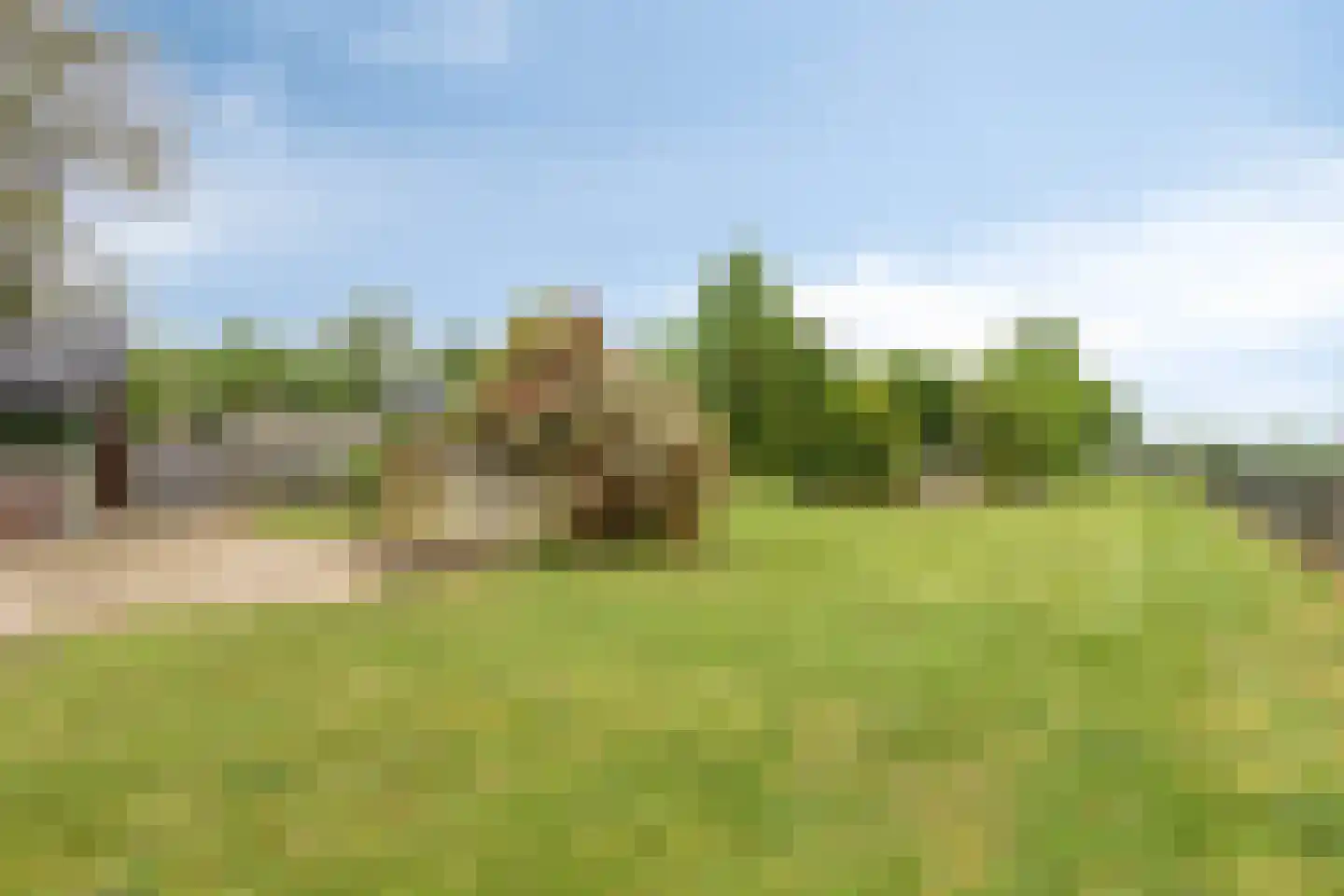 Hazelberg 1 Veghel thumbnail 60