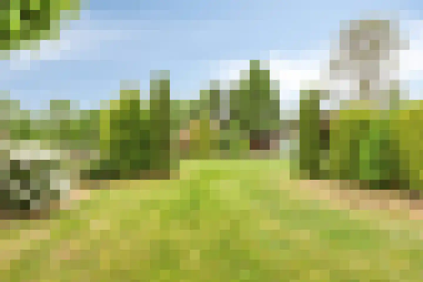 Hazelberg 1 Veghel thumbnail 64