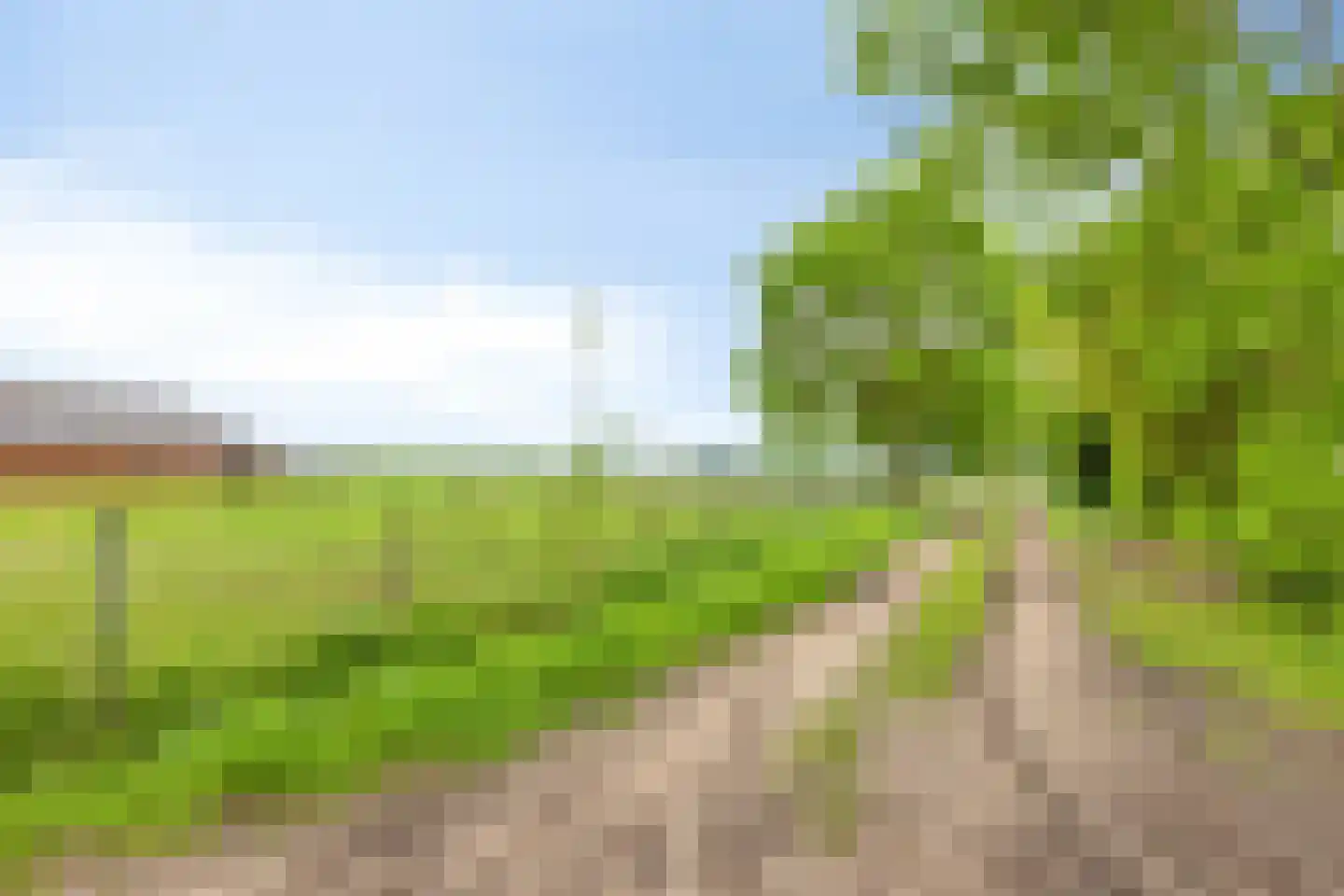 Hazelberg 1 Veghel thumbnail 78