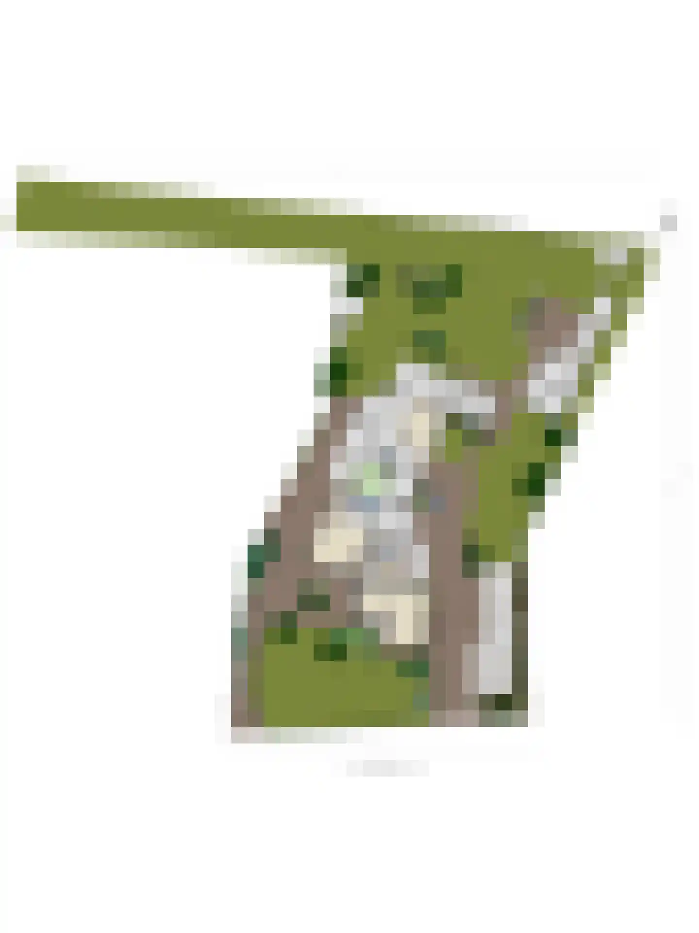 Hazelberg 1 Veghel thumbnail 79