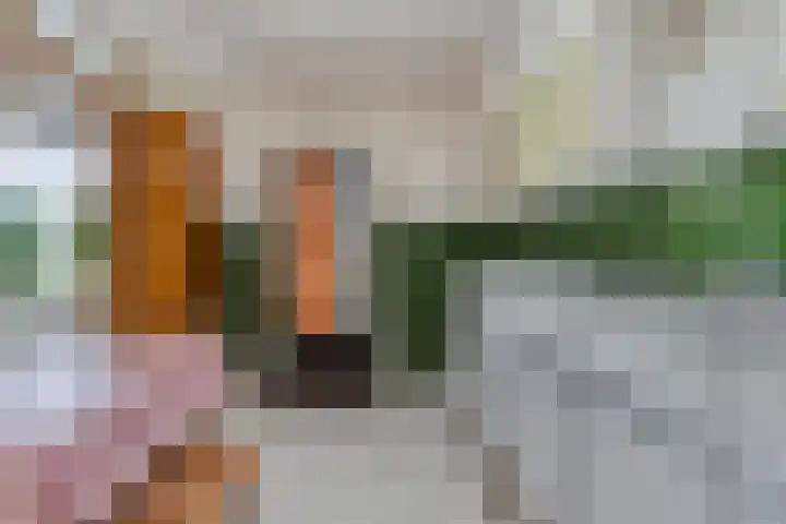 Hazelderstraat 1 Winterswijk thumbnail 16