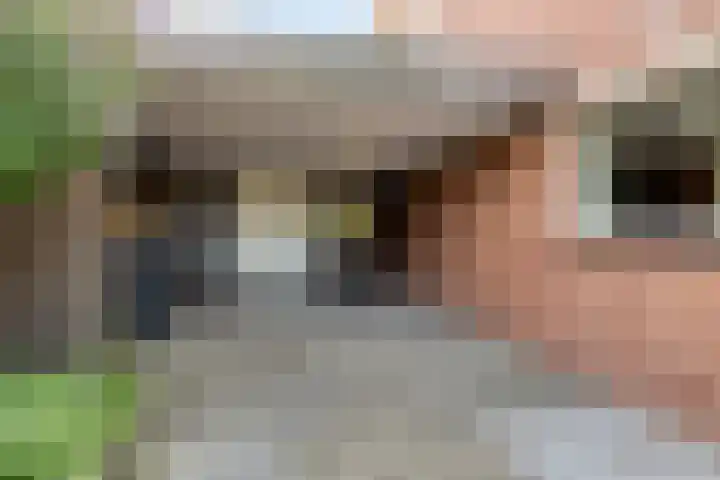 Hazelderstraat 1 Winterswijk thumbnail 4