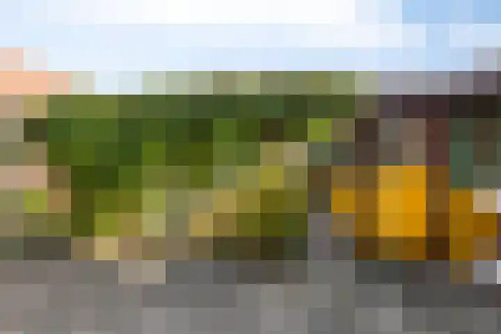 Hazelderstraat 1 Winterswijk thumbnail 6