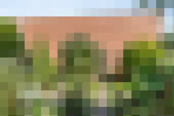 Hazelderstraat 1 Winterswijk thumbnail 7