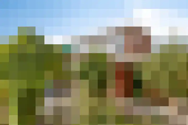 Hazelderstraat 1 Winterswijk thumbnail 8