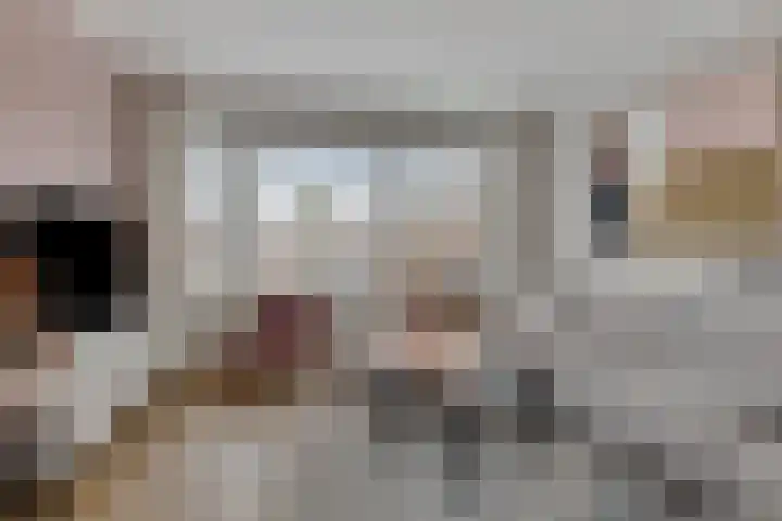 Hazelderstraat 13 Winterswijk thumbnail 11