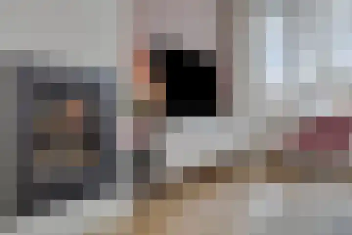 Hazelderstraat 13 Winterswijk thumbnail 15