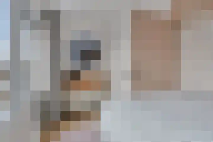 Hazelderstraat 13 Winterswijk thumbnail 32