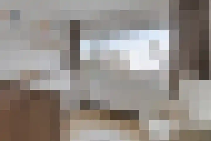Hazelderstraat 13 Winterswijk thumbnail 43
