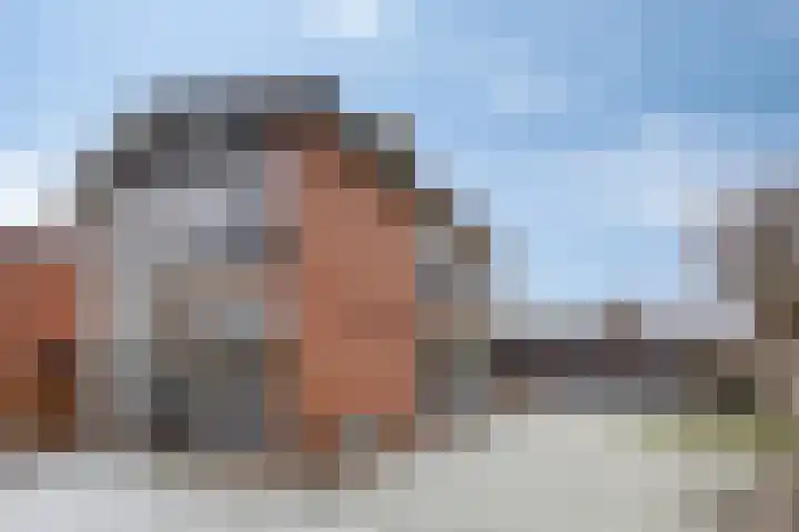 Hazelderstraat 13 Winterswijk thumbnail 45