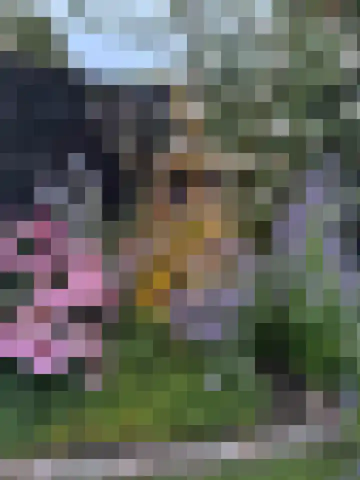 Hazelderstraat 13 Winterswijk thumbnail 47