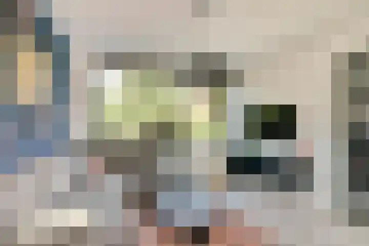Hazelderstraat 37 Winterswijk thumbnail 6