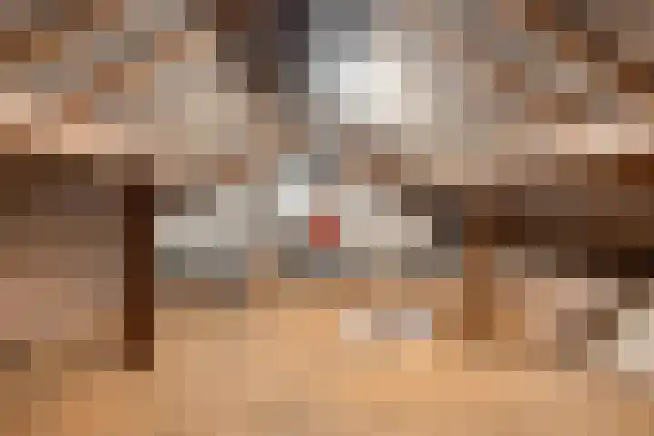Hazelderstraat 39 Winterswijk thumbnail 20