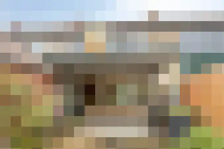 Hazelderstraat 39 Winterswijk thumbnail 22