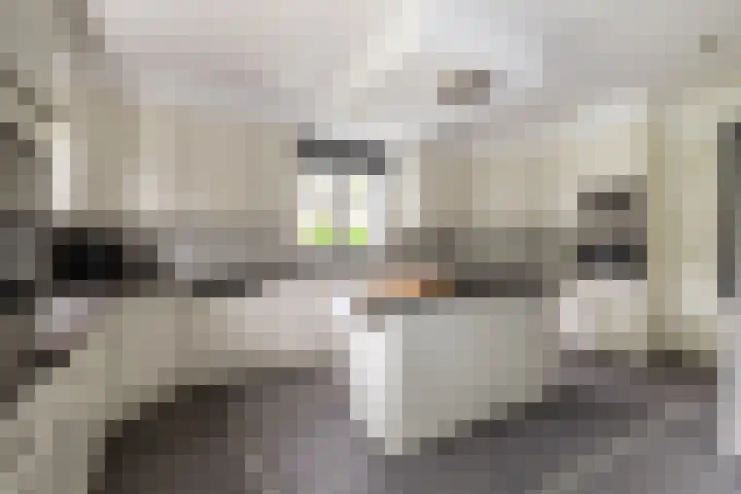 Hazeldonk 1 Breda thumbnail 19