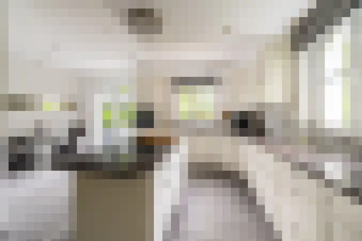 Hazeldonk 1 Breda thumbnail 21
