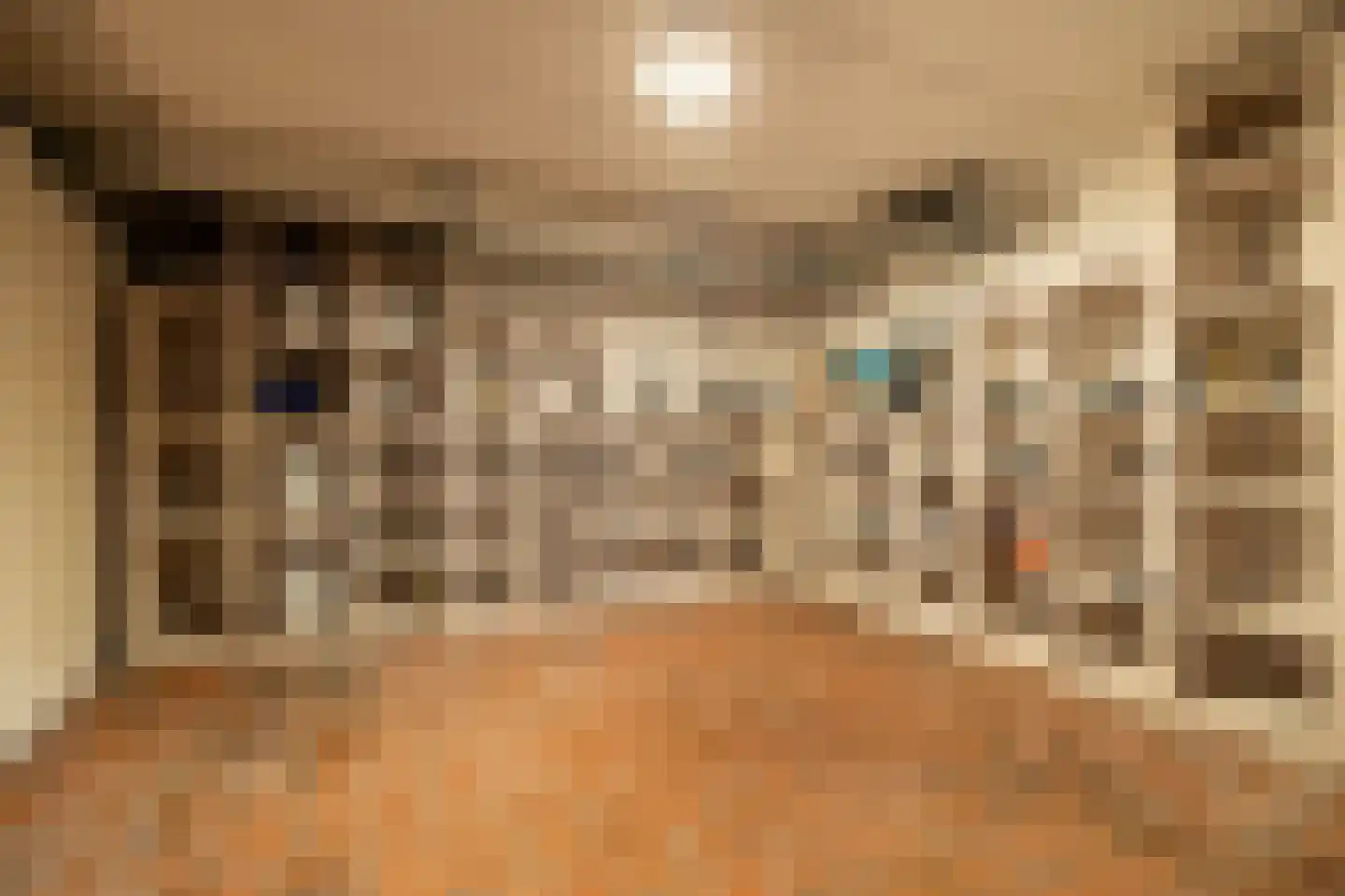 Hazeldonk 1 Breda thumbnail 25